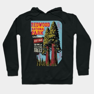 Redwood National Park California Aged Look Hoodie